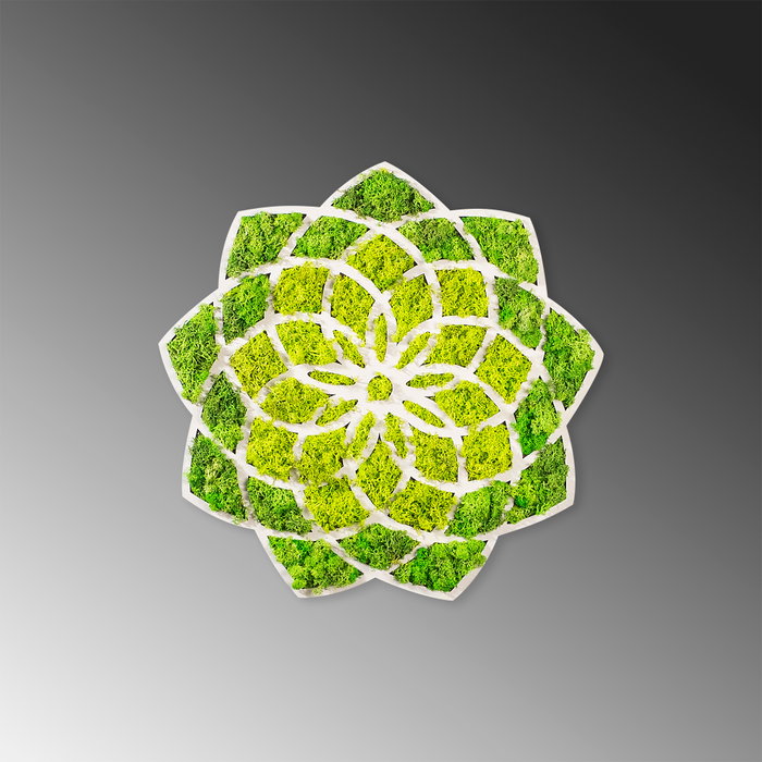 Wallity Daisy Accesorio decorativo de pared Verde y Blanco